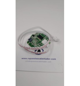 Placa electrónica termo Ferroli