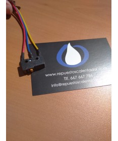 Microinterruptor HTW