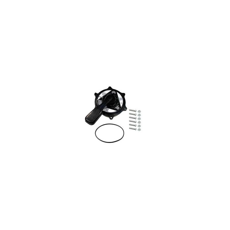 Conjunto superior válvula selectora 1½" Classic AstralPool 4404120112