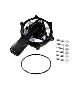 Conjunto superior válvula selectora 1½" Classic AstralPool 4404120112