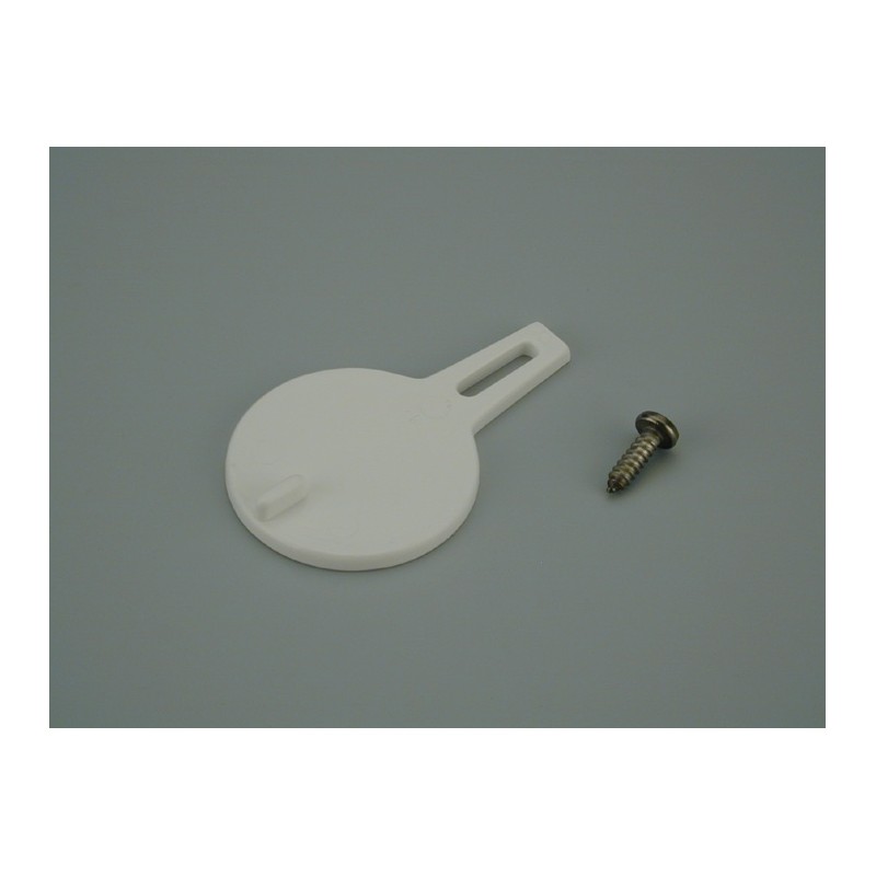 Clapeta Skimmer Astralpool
