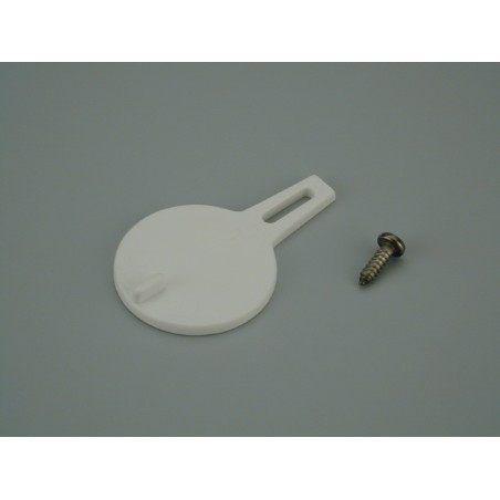 Clapeta Skimmer Astralpool