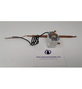 Termostato regulación 1 bulbo para termo EQUATION