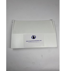 Compuerta skimmer bisagra Astralpool