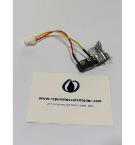 Microinterruptor 2 cables