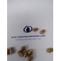 Kit 10 inyectores Ariston GN