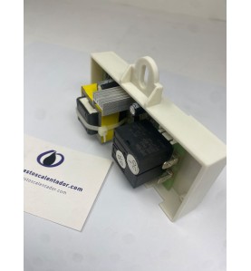 CIRCUITO ELECTRÓNICO SILVER FLAT 30-100 L
