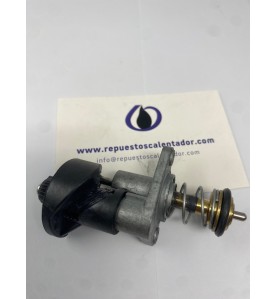Pulsador tapa cuerpo calentador Cointra