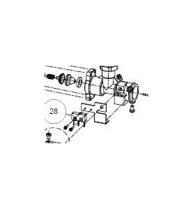 Microinterruptor Iono