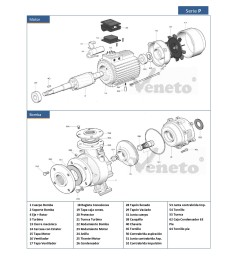 Despiece para bomba Serie P y motor serie P