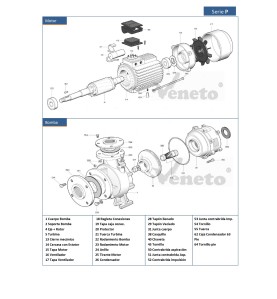 Despiece para bomba Serie P y motor serie P