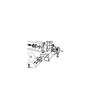 Microinterruptor BAXI