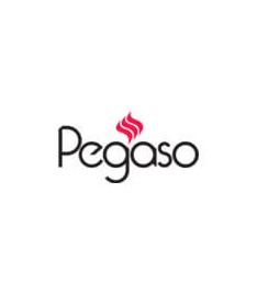 Resistencia biomasa estufa pellets PEGASO