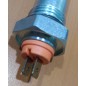 Resistencia 500w para radiador