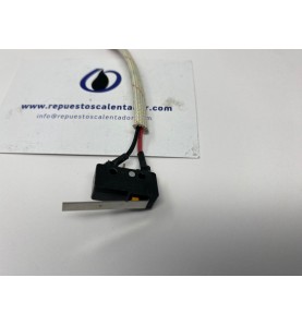 Microinterruptor 2 CABLES y patilla