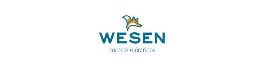 Termos Wesen | Repuestos Calentador