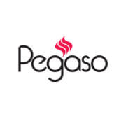 Pegaso